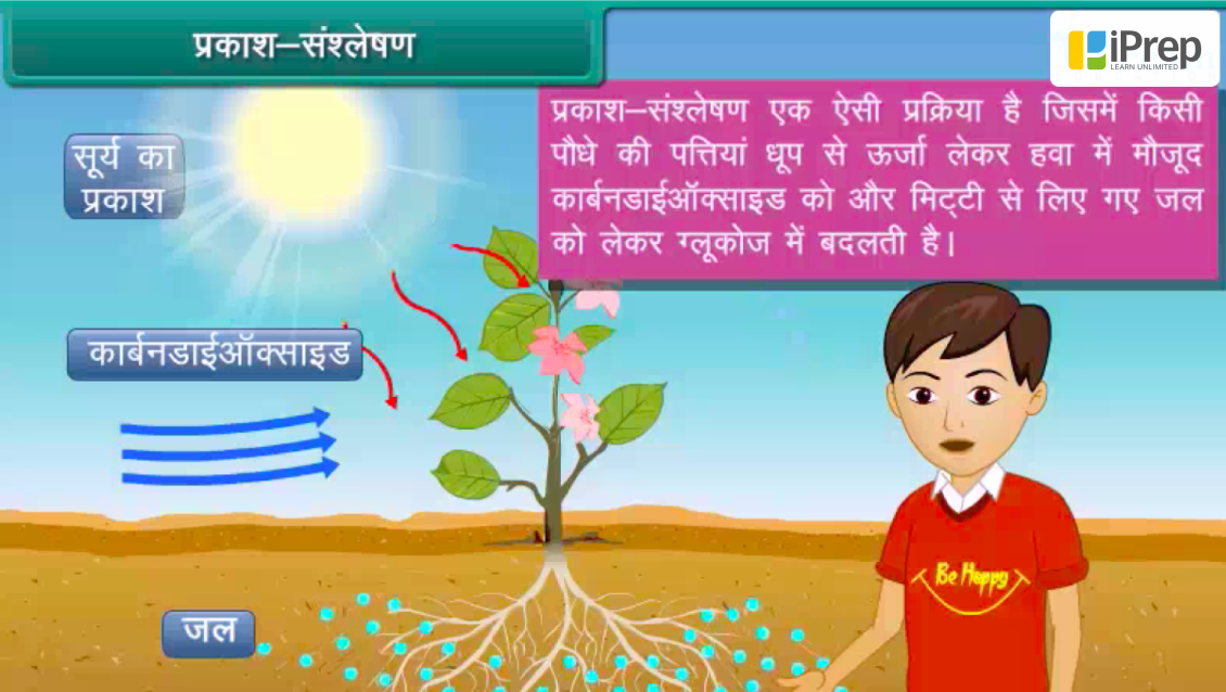 Educational Video Lessons by iDream Education