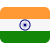 indian flag logo