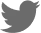 twitter icon