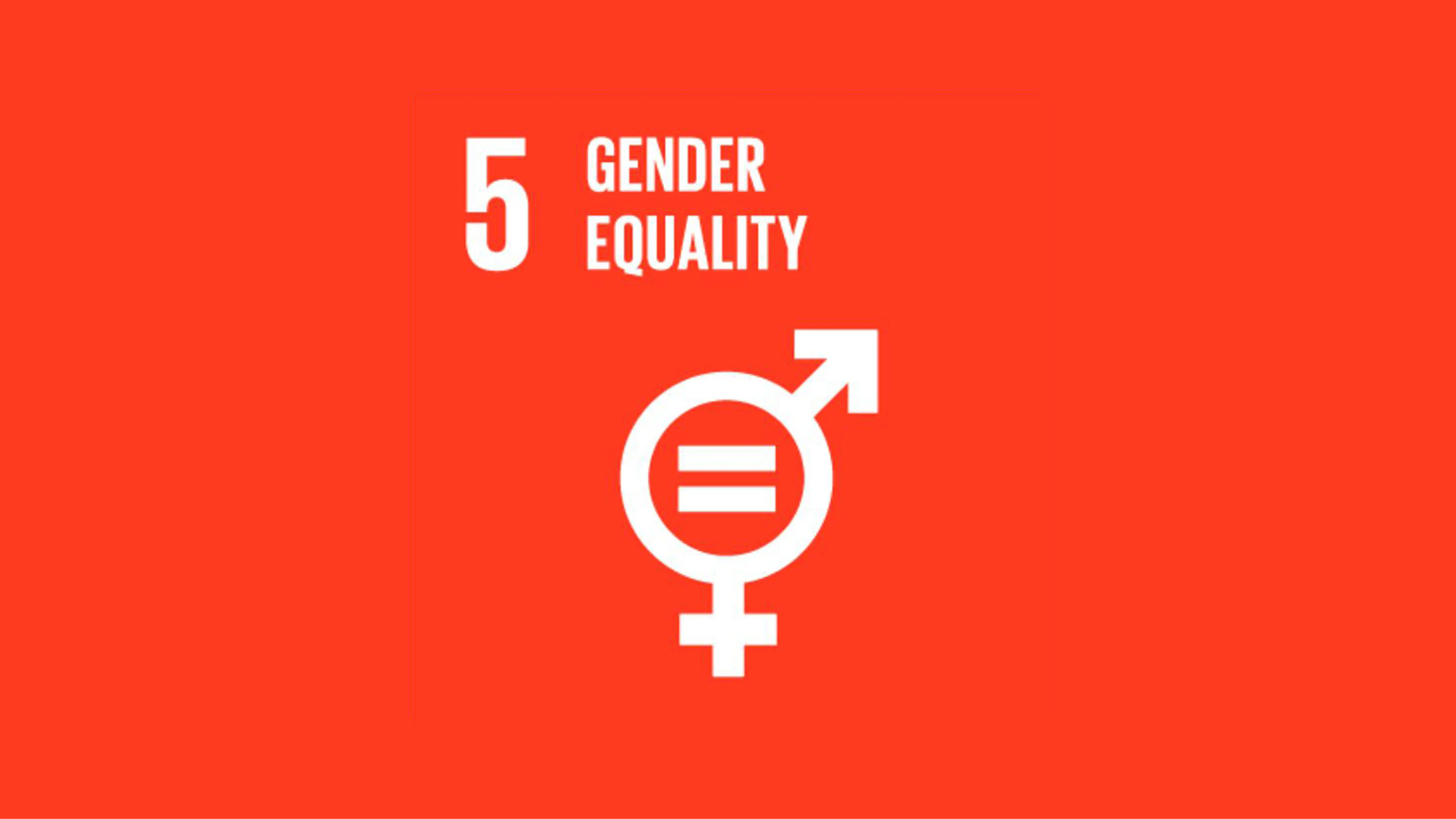 Indian education NGO supporting girls’ education to achieve gender equality