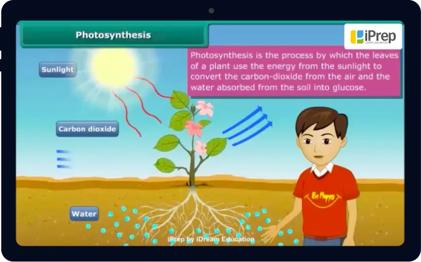 video lessons on iprep for Punjab Board